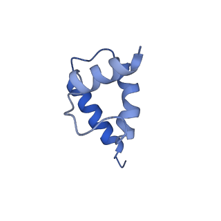 31301_7eto_S_v1-1
C1 CVSC-binding penton vertex in the virion capsid of Human Cytomegalovirus