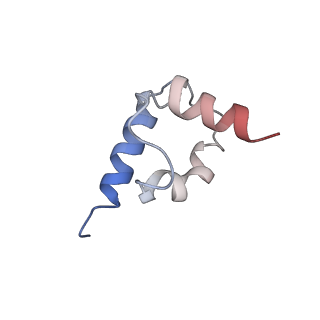 31301_7eto_T_v1-1
C1 CVSC-binding penton vertex in the virion capsid of Human Cytomegalovirus