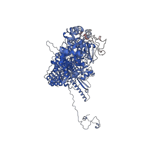 31301_7eto_Y_v1-1
C1 CVSC-binding penton vertex in the virion capsid of Human Cytomegalovirus