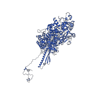 31301_7eto_Z_v1-1
C1 CVSC-binding penton vertex in the virion capsid of Human Cytomegalovirus