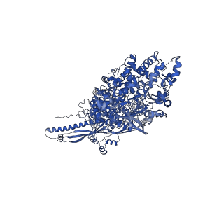 31301_7eto_a_v1-1
C1 CVSC-binding penton vertex in the virion capsid of Human Cytomegalovirus