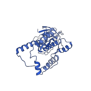 31301_7eto_h_v1-1
C1 CVSC-binding penton vertex in the virion capsid of Human Cytomegalovirus