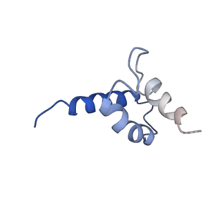 31301_7eto_i_v1-1
C1 CVSC-binding penton vertex in the virion capsid of Human Cytomegalovirus