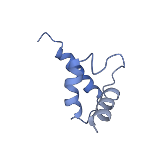 31301_7eto_j_v1-1
C1 CVSC-binding penton vertex in the virion capsid of Human Cytomegalovirus