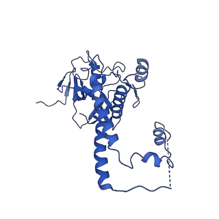 31301_7eto_n_v1-1
C1 CVSC-binding penton vertex in the virion capsid of Human Cytomegalovirus