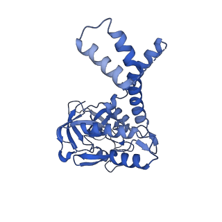 31301_7eto_o_v1-1
C1 CVSC-binding penton vertex in the virion capsid of Human Cytomegalovirus