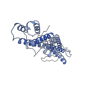 31301_7eto_x_v1-1
C1 CVSC-binding penton vertex in the virion capsid of Human Cytomegalovirus