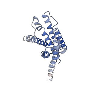 31303_7etw_A_v1-0
Cryo-EM structure of Scap/Insig complex in the present of digitonin.