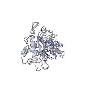 31303_7etw_B_v1-0
Cryo-EM structure of Scap/Insig complex in the present of digitonin.