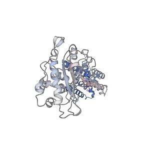 31303_7etw_B_v2-1
Cryo-EM structure of Scap/Insig complex in the present of digitonin.