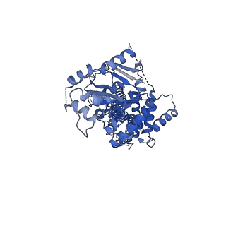 3953_6eti_B_v1-2
Structure of inhibitor-bound ABCG2