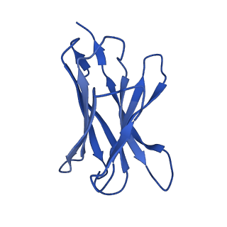 3953_6eti_D_v1-2
Structure of inhibitor-bound ABCG2