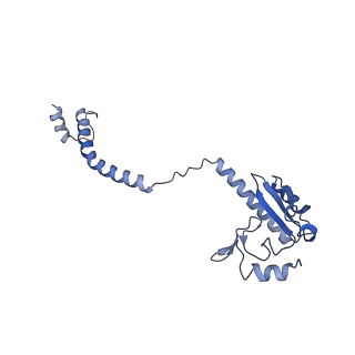 24410_8eup_3_v1-2
Ytm1 associated 60S nascent ribosome State 1A