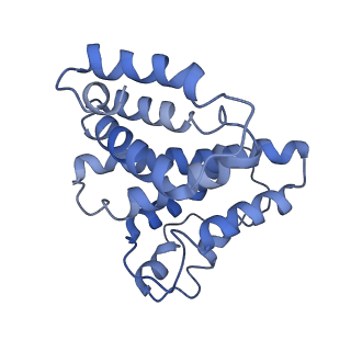 24410_8eup_4_v1-2
Ytm1 associated 60S nascent ribosome State 1A