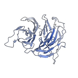 24410_8eup_5_v1-2
Ytm1 associated 60S nascent ribosome State 1A