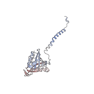 24410_8eup_A_v1-2
Ytm1 associated 60S nascent ribosome State 1A