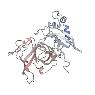 24410_8eup_B_v1-2
Ytm1 associated 60S nascent ribosome State 1A