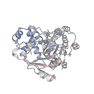 24410_8eup_D_v1-2
Ytm1 associated 60S nascent ribosome State 1A