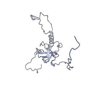 24410_8eup_E_v1-2
Ytm1 associated 60S nascent ribosome State 1A
