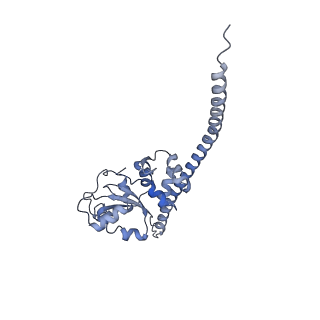 24410_8eup_F_v1-2
Ytm1 associated 60S nascent ribosome State 1A