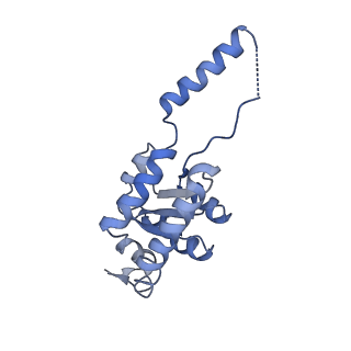 24410_8eup_G_v1-2
Ytm1 associated 60S nascent ribosome State 1A