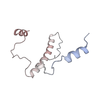 24410_8eup_J_v1-2
Ytm1 associated 60S nascent ribosome State 1A