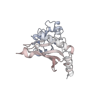 24410_8eup_K_v1-2
Ytm1 associated 60S nascent ribosome State 1A