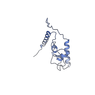 24410_8eup_L_v1-2
Ytm1 associated 60S nascent ribosome State 1A