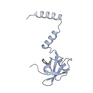 24410_8eup_M_v1-2
Ytm1 associated 60S nascent ribosome State 1A