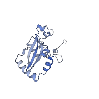 24410_8eup_N_v1-2
Ytm1 associated 60S nascent ribosome State 1A