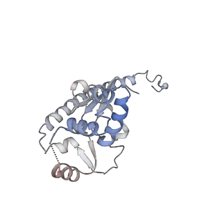 24410_8eup_O_v1-2
Ytm1 associated 60S nascent ribosome State 1A