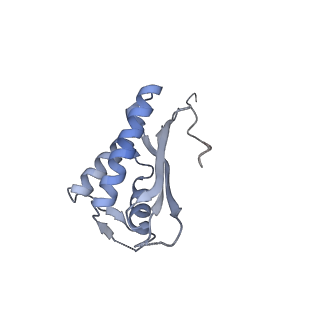 24410_8eup_P_v1-2
Ytm1 associated 60S nascent ribosome State 1A