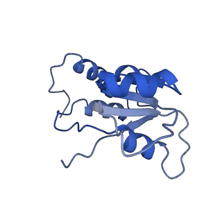 24410_8eup_Q_v1-2
Ytm1 associated 60S nascent ribosome State 1A