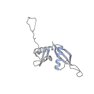 24410_8eup_S_v1-2
Ytm1 associated 60S nascent ribosome State 1A
