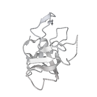 24410_8eup_V_v1-2
Ytm1 associated 60S nascent ribosome State 1A