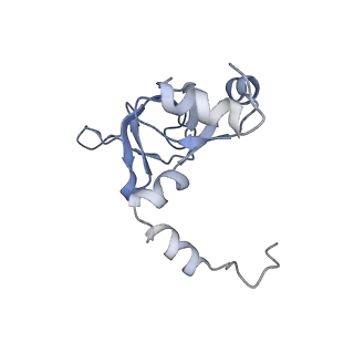 24410_8eup_Y_v1-2
Ytm1 associated 60S nascent ribosome State 1A