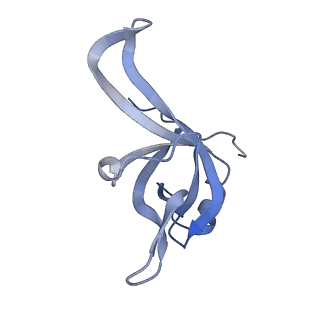 24410_8eup_f_v1-2
Ytm1 associated 60S nascent ribosome State 1A