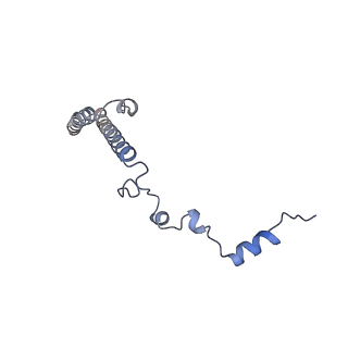 24410_8eup_h_v1-2
Ytm1 associated 60S nascent ribosome State 1A