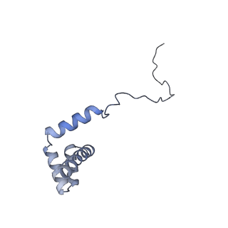 24410_8eup_i_v1-2
Ytm1 associated 60S nascent ribosome State 1A