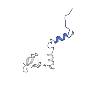 24410_8eup_j_v1-2
Ytm1 associated 60S nascent ribosome State 1A