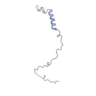 24410_8eup_m_v1-2
Ytm1 associated 60S nascent ribosome State 1A