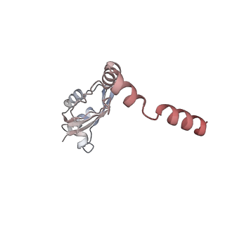 24410_8eup_o_v1-2
Ytm1 associated 60S nascent ribosome State 1A