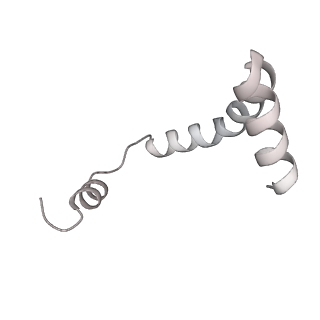 24410_8eup_r_v1-2
Ytm1 associated 60S nascent ribosome State 1A