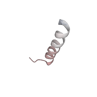 24410_8eup_t_v1-2
Ytm1 associated 60S nascent ribosome State 1A