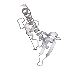 24410_8eup_u_v1-2
Ytm1 associated 60S nascent ribosome State 1A