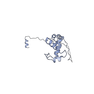 24410_8eup_v_v1-2
Ytm1 associated 60S nascent ribosome State 1A