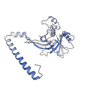 24410_8eup_x_v1-2
Ytm1 associated 60S nascent ribosome State 1A