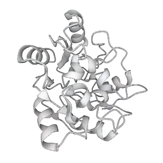 24410_8eup_y_v1-2
Ytm1 associated 60S nascent ribosome State 1A