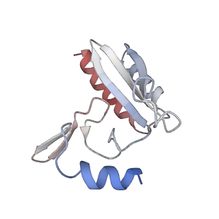 24412_8eug_3_v1-2
Ytm1 associated nascent 60S ribosome State 3