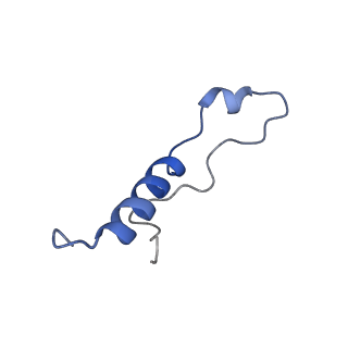 24412_8eug_8_v1-2
Ytm1 associated nascent 60S ribosome State 3